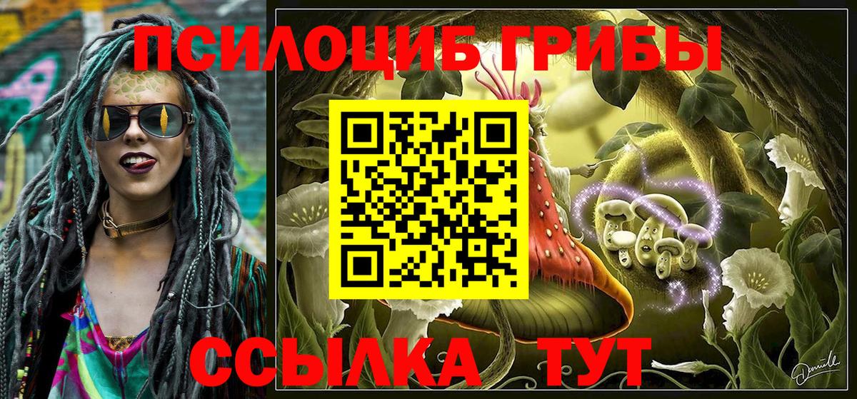 Урус-Мартан  Галлюциногенные грибы MAGIC MUSHROOMS  Псилоцибиновые грибы прущие грибы  Вход с VPN 