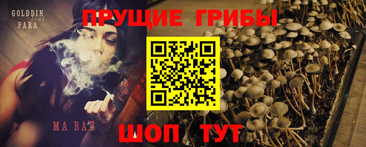 Псилоцибиновые грибы мухоморы Урус-Мартан